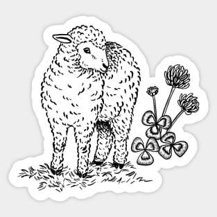 A Sheep With a Clover Sticker